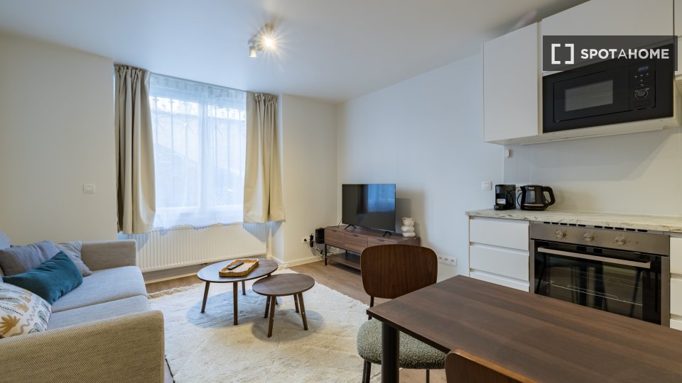 Apartment mono Brussels, 45m² — photo 2