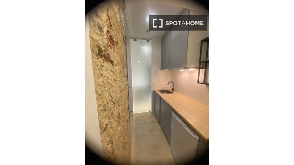 Apartment mono Lisbon, 25m² — photo 1