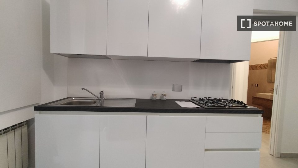 Apartment mono Rome, 45m² — photo 3