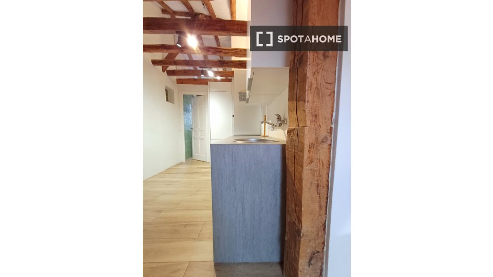 Apartment mono Madrid, 78m² — photo 12