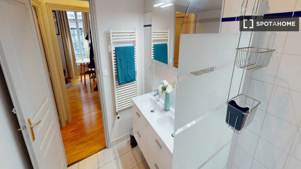 Double room Lyon, 7 beds, 150m² — photo 12