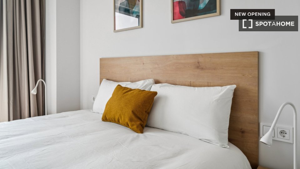 Apartment Madrid, 1 bed — photo 39