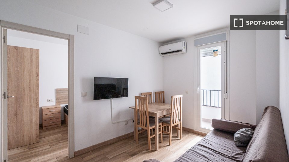 Apartment Madrid, 2 beds — photo 4
