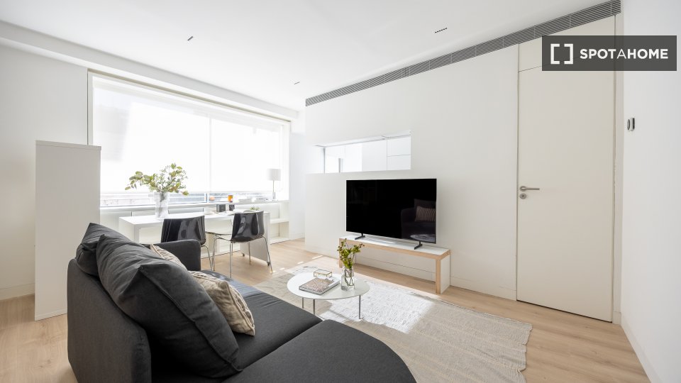 Apartment mono Madrid, 45m² — photo 4
