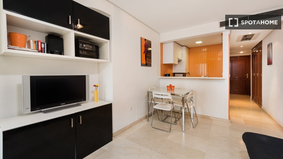 Apartment mono Madrid — photo 12