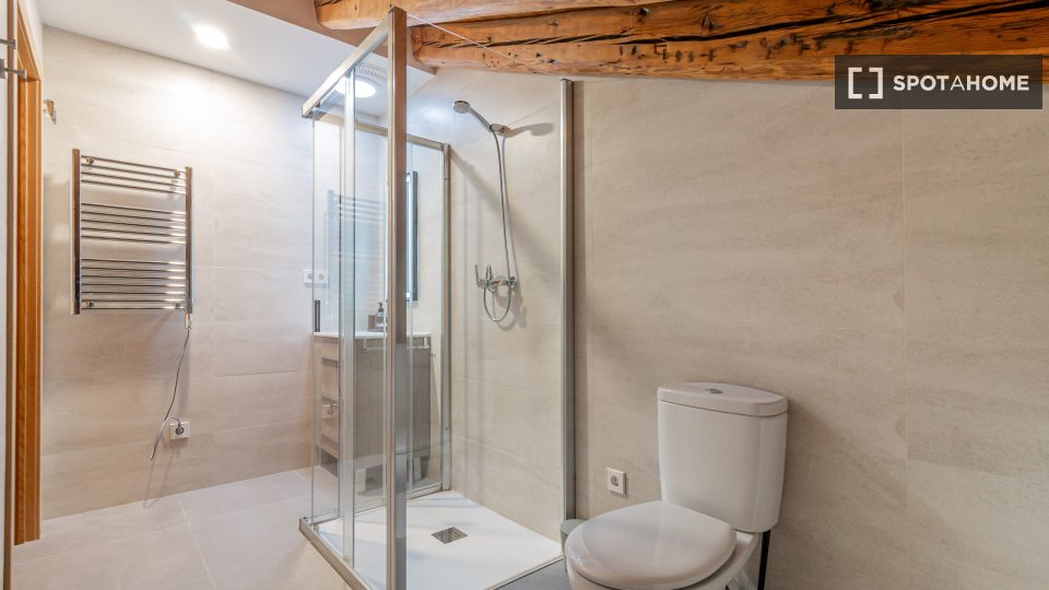 Apartment Madrid, 2 beds — photo 6