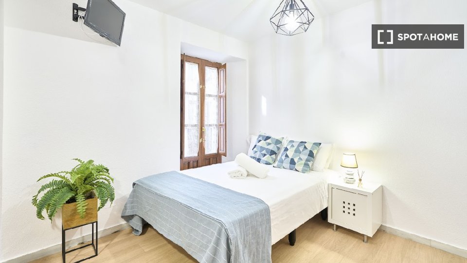 Apartment mono Salamanca, 45m² — photo 3