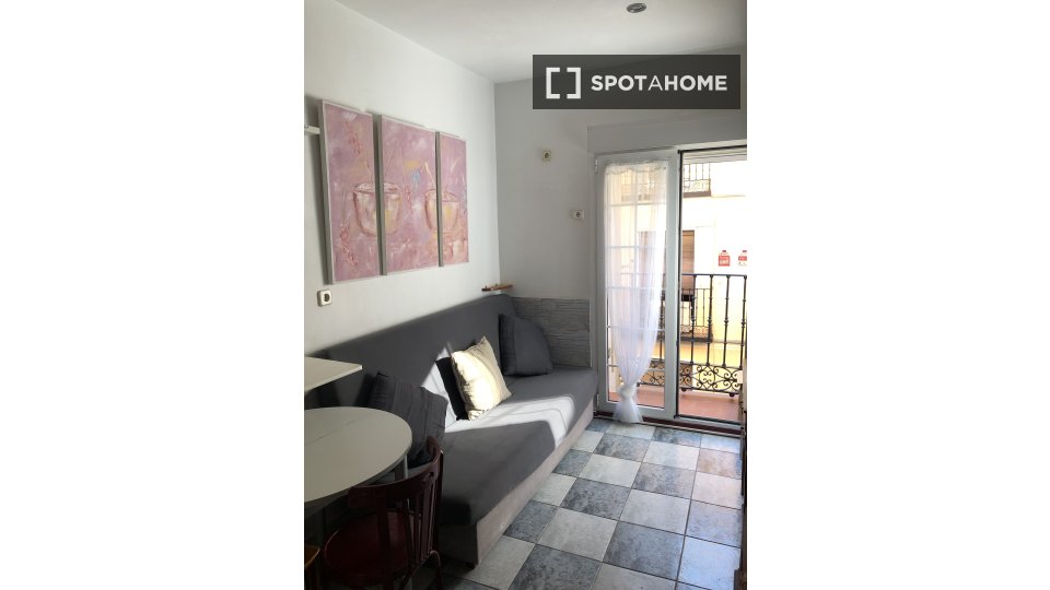 Apartment mono Madrid — photo 17
