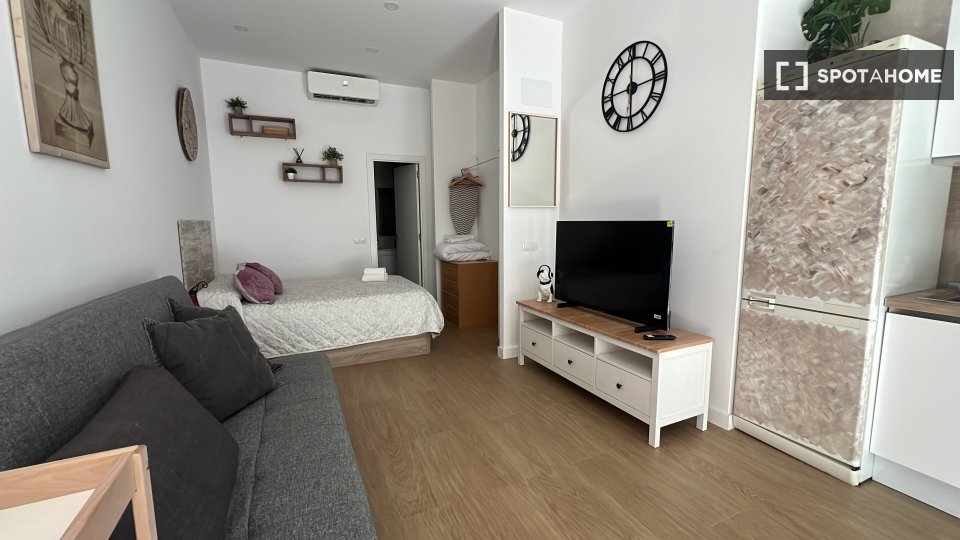Apartment mono Madrid, 30m² — photo 11