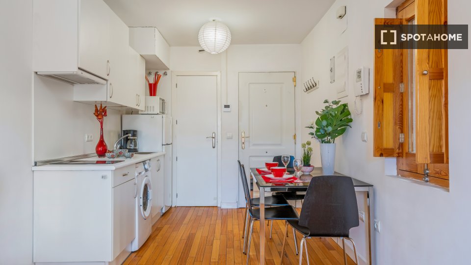 Apartment Madrid, 1 bed — photo 11