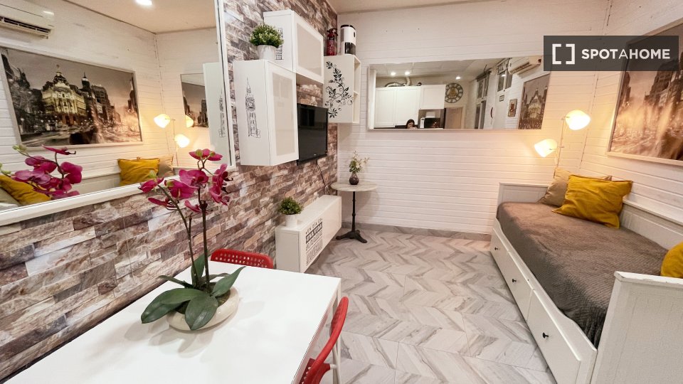 Apartment mono Madrid, 25m² — photo 3