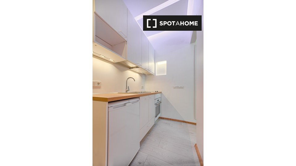Apartment Vilnius, 1 bed — photo 4