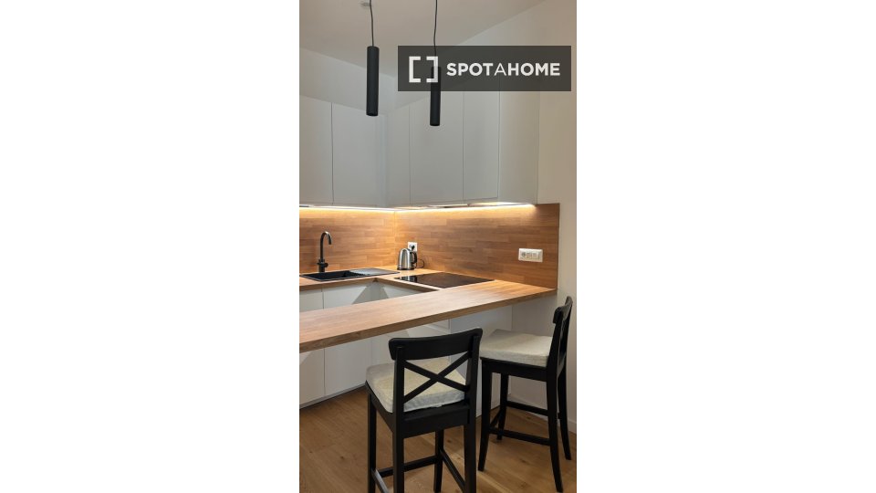 Apartment mono Rome, 40m² — photo 11