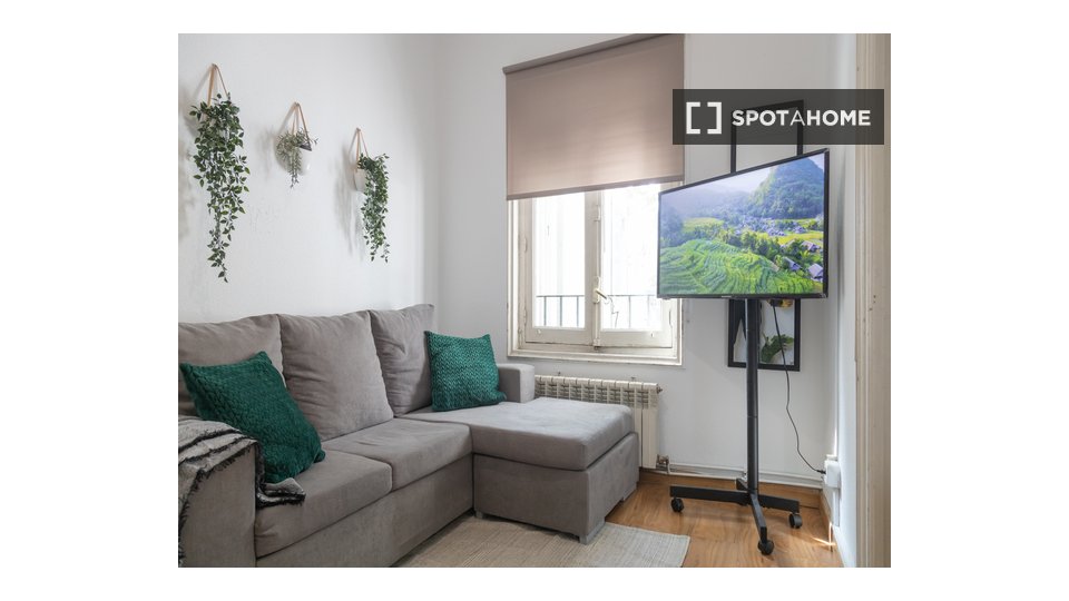 Double room Madrid, 4 beds, 100m² — photo 31