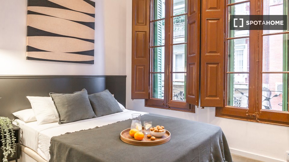Double room Barcelona, 16 beds, 380m² — photo 15