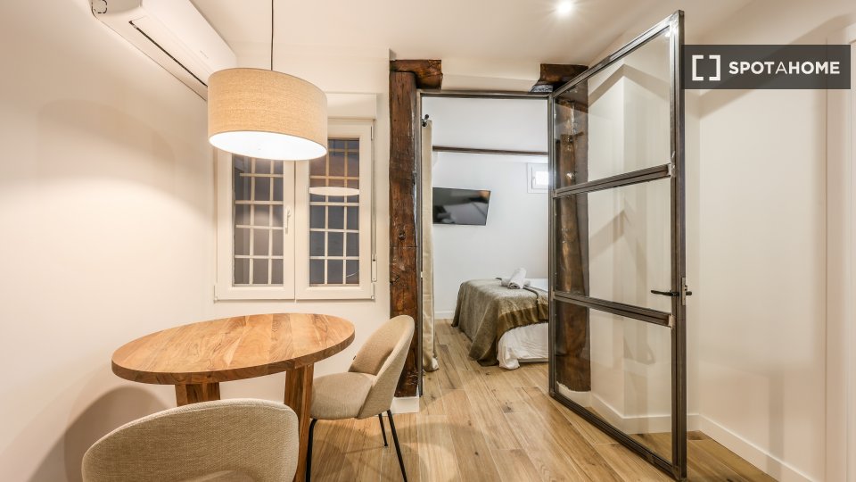 Apartment mono Madrid, 22m² — photo 8