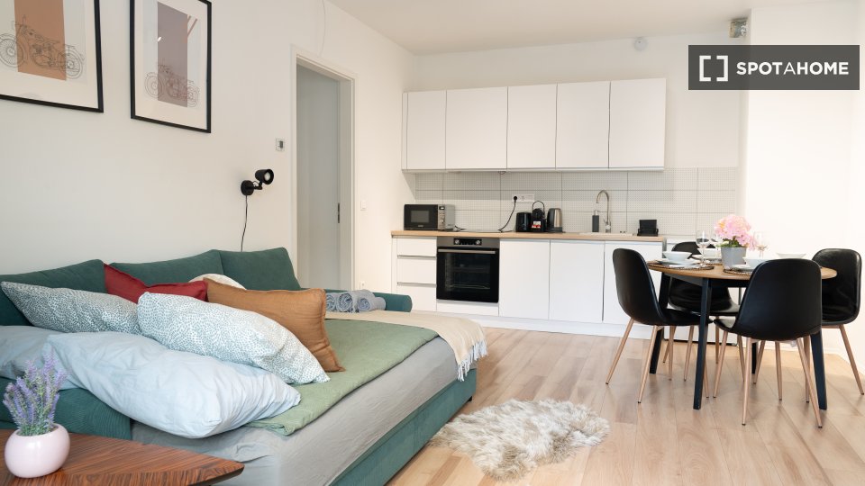Apartment mono Budapest, 45m² — photo 22