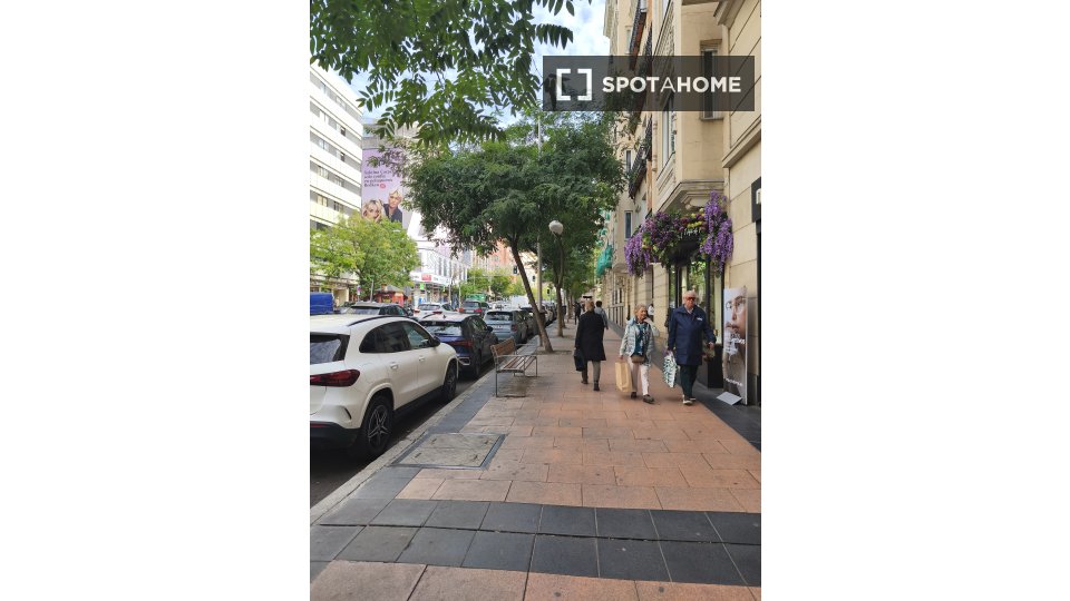 Double room Madrid, 7 beds, 132m² — photo 16