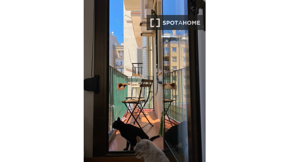 Double room Barcelona, 2 beds, 75m² — photo 8
