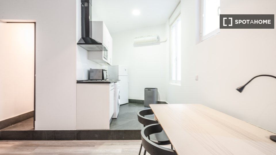 Apartment mono Madrid, 30m² — photo 3