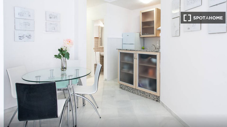 Apartment Seville, 1 bed — photo 26