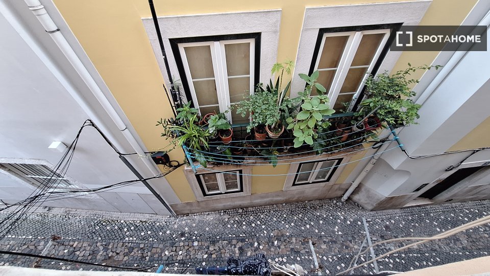Apartment mono Lisbon, 30m² — photo 8