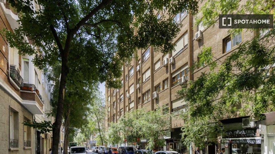 Double room Madrid, 5 beds — photo 13
