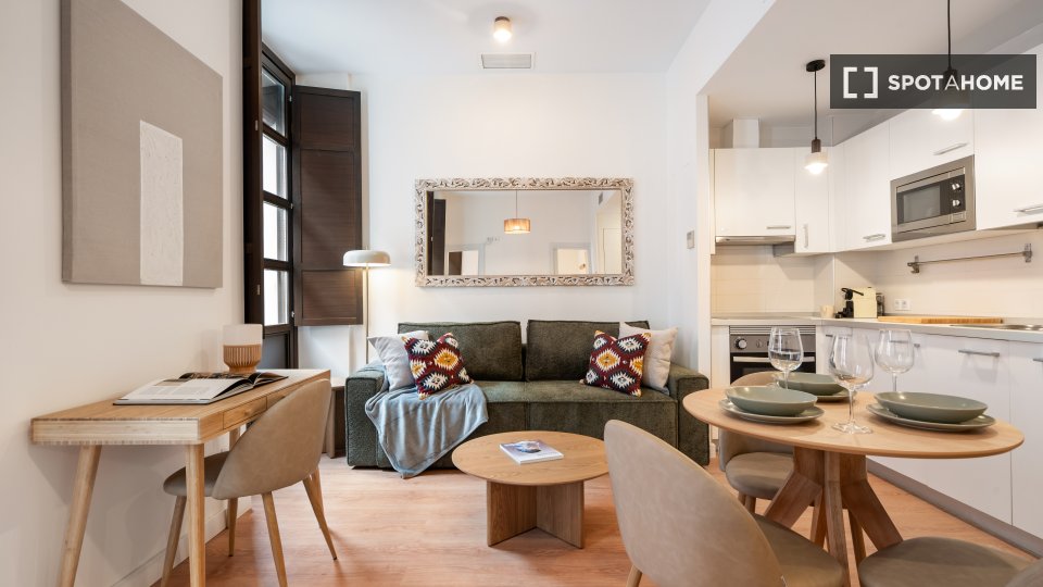 Apartment Madrid, 1 bed, 40m² — photo 13
