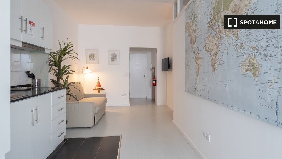 Apartment Porto, 1 bed — photo 3