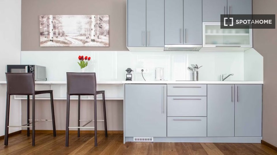 Apartment Vienna, 1 bed, 25m² — photo 9