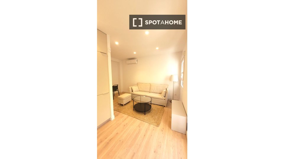 Apartment mono Madrid, 55m² — photo 6