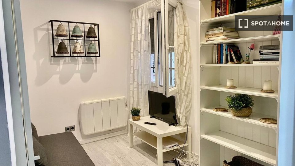 Apartment mono Madrid — photo 9