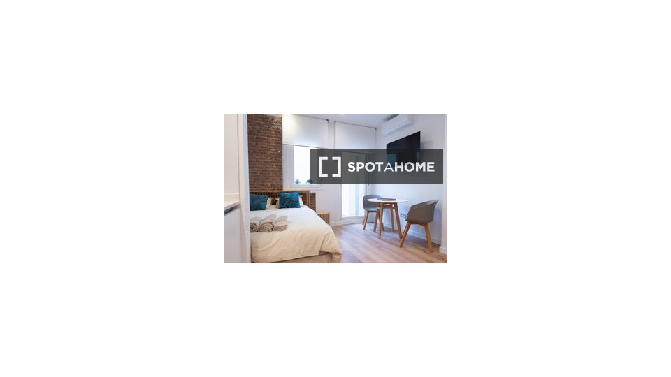 Apartment mono Madrid, 15m² — photo 20