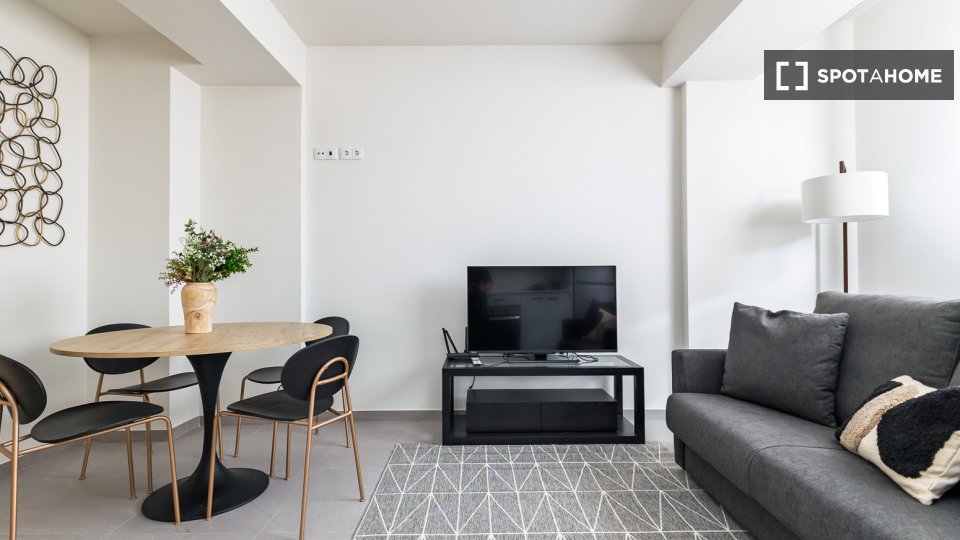 Apartment Valencia, 1 bed — photo 45