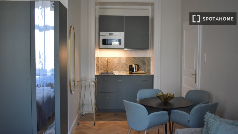 Apartment mono Budapest, 35m² — photo 12