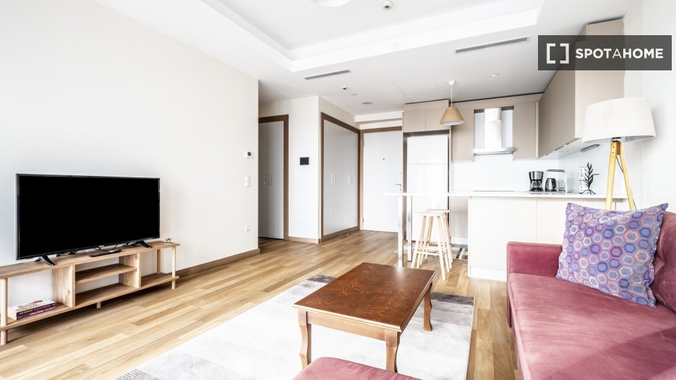 Apartment Istanbul, 1 bed — photo 1