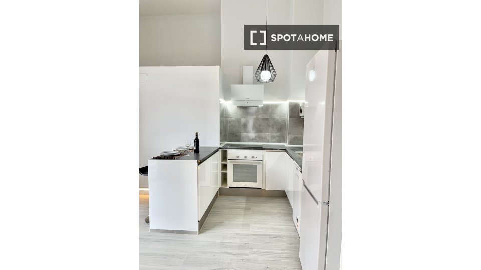 Apartment mono Madrid, 48m² — photo 5