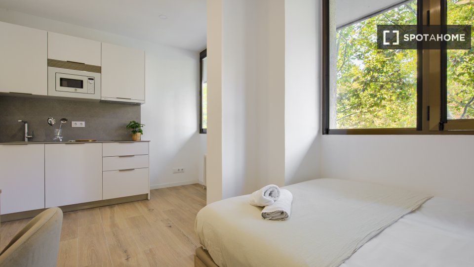 Apartment mono Madrid — photo 5