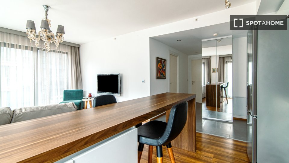 Apartment Istanbul, 1 bed — photo 3