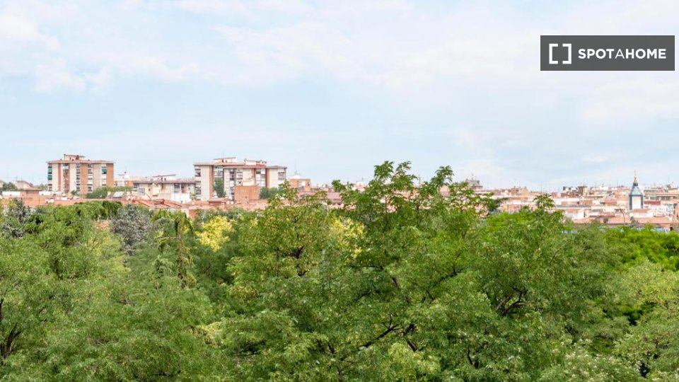 Double room Madrid, 4 beds — photo 18