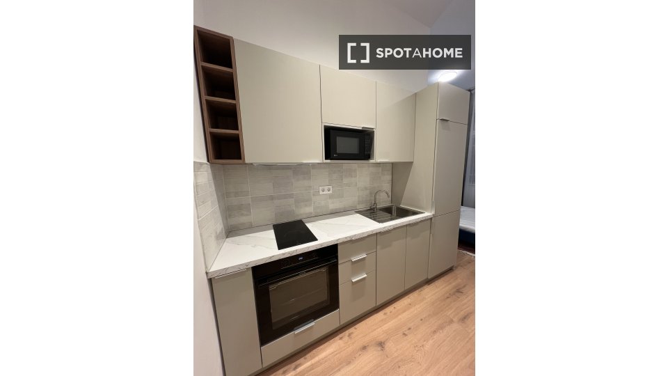 Apartment mono Budapest, 30m² — photo 1