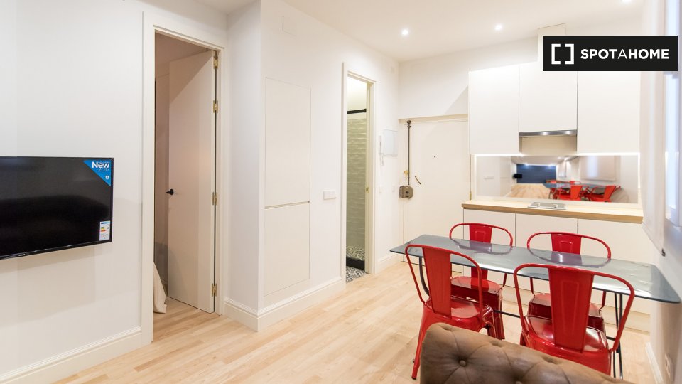 Apartment mono Madrid, 35m² — photo 16