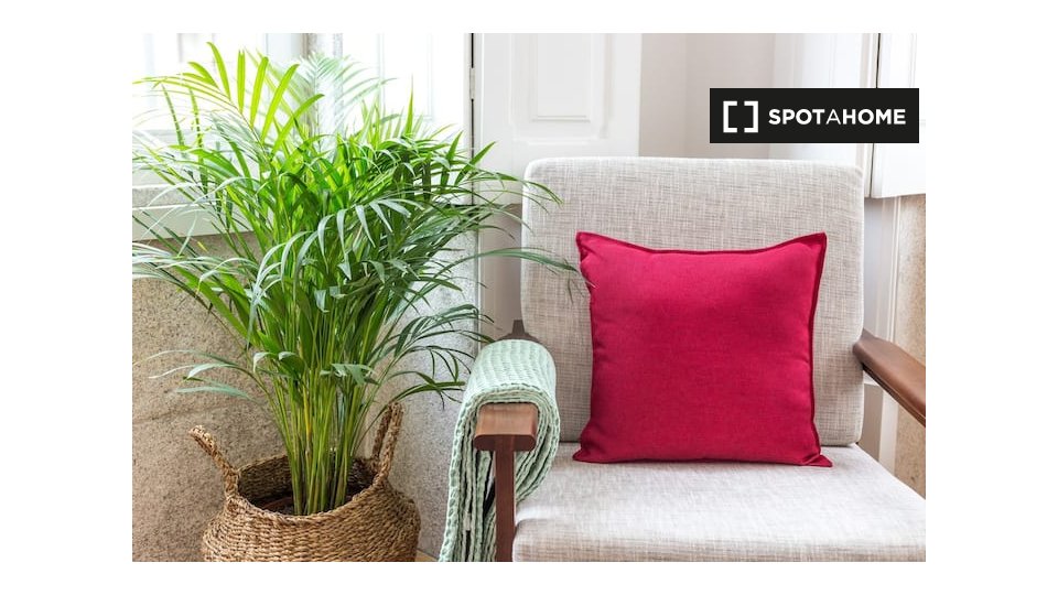Apartment Porto, 1 bed, 20m² — photo 8