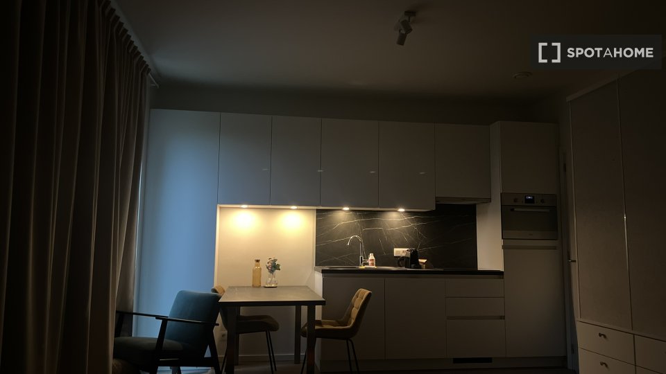 Apartment mono Brussels, 45m² — photo 2