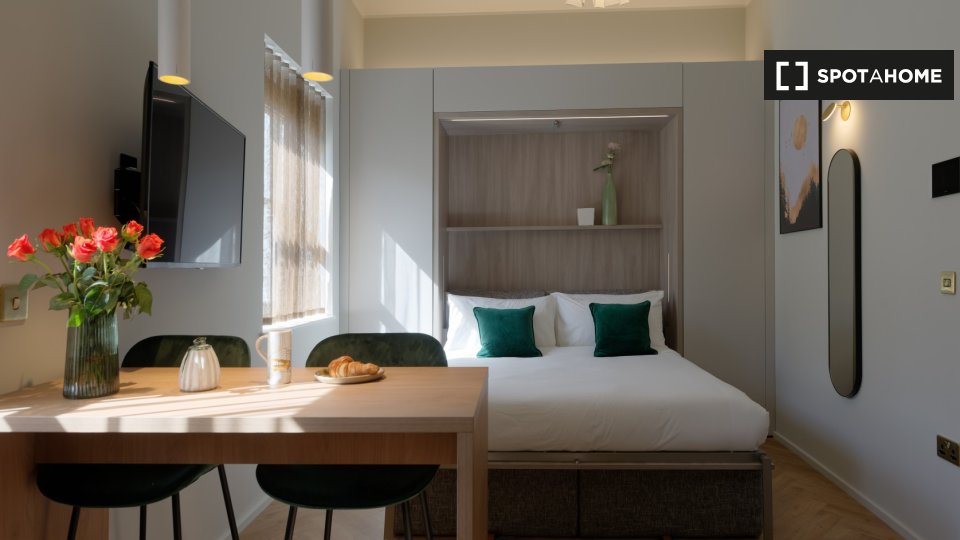 Studio apartment for rent in South Kensington, London (ref 642014