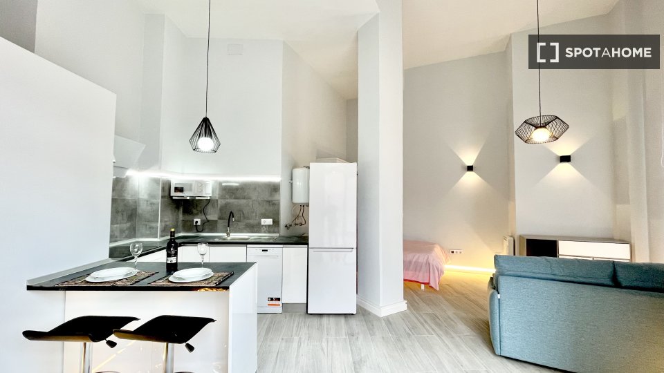Apartment mono Madrid, 48m² — photo 8