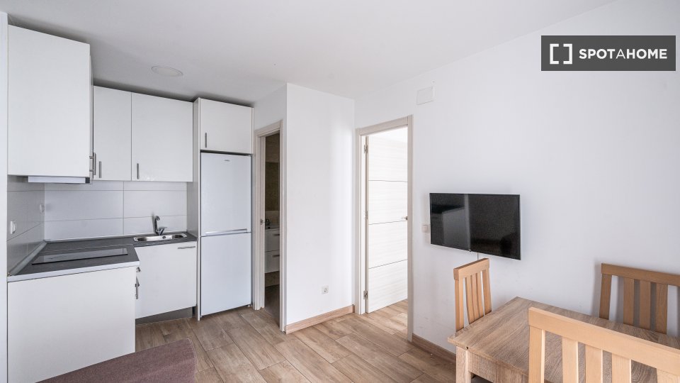 Apartment Madrid, 2 beds — photo 16