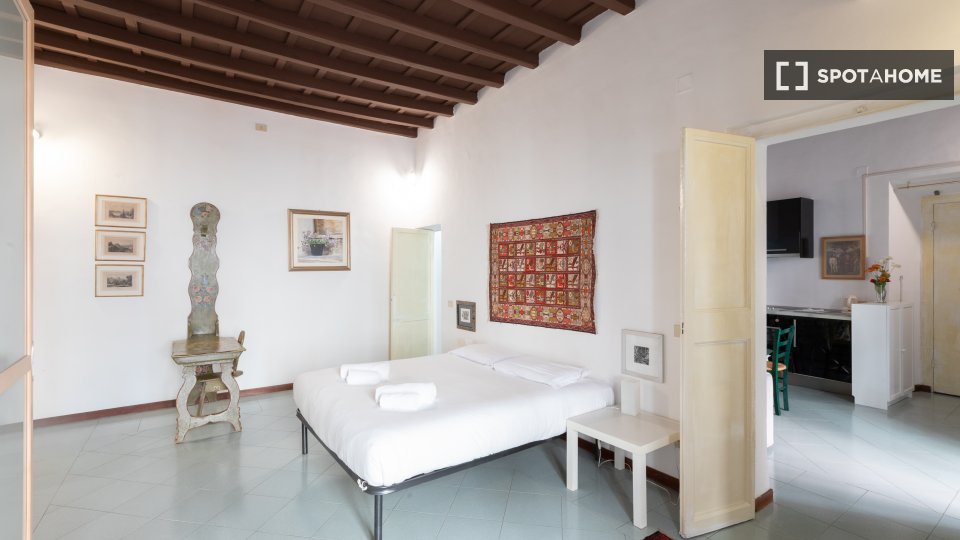 Apartment mono Rome, 49m² — photo 5