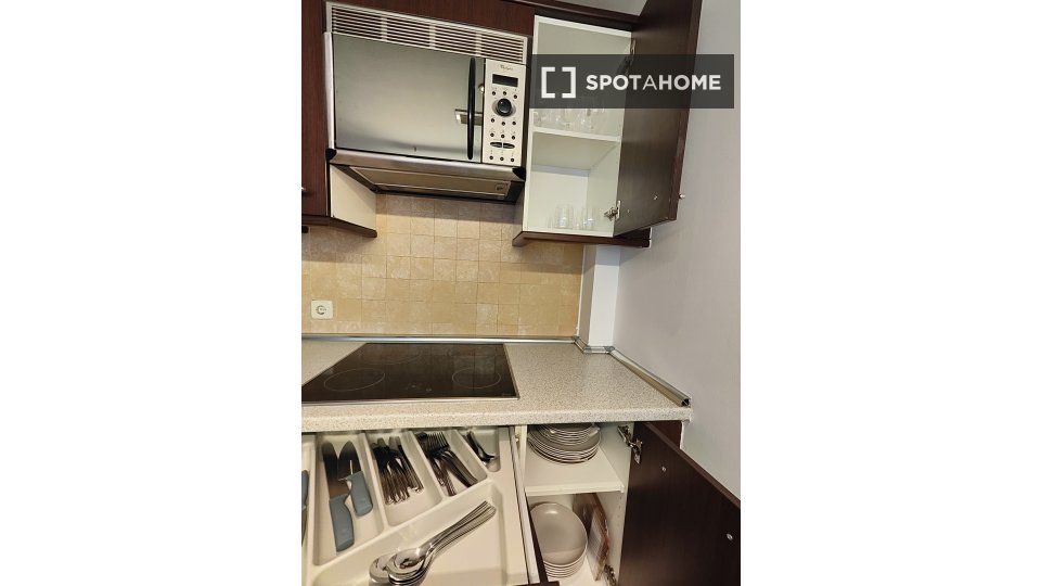 Apartment Madrid, 1 bed — photo 4