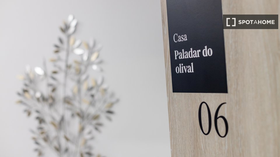 Apartment Porto, 1 bed — photo 14